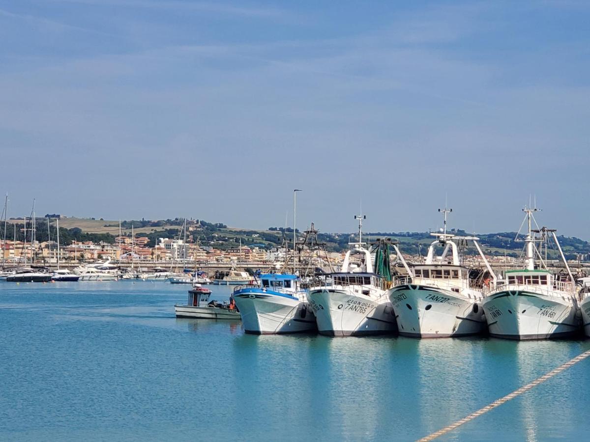 B&B Lido Apartament 10A Civitanova Marche Exteriér fotografie